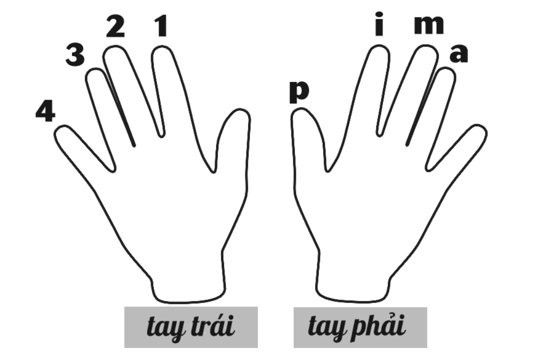Vị trí các nốt nhạc trên cần đàn guitar và trên khuông nhạc 3 Ký hiệu của các ngón bấm trên đàn guitar