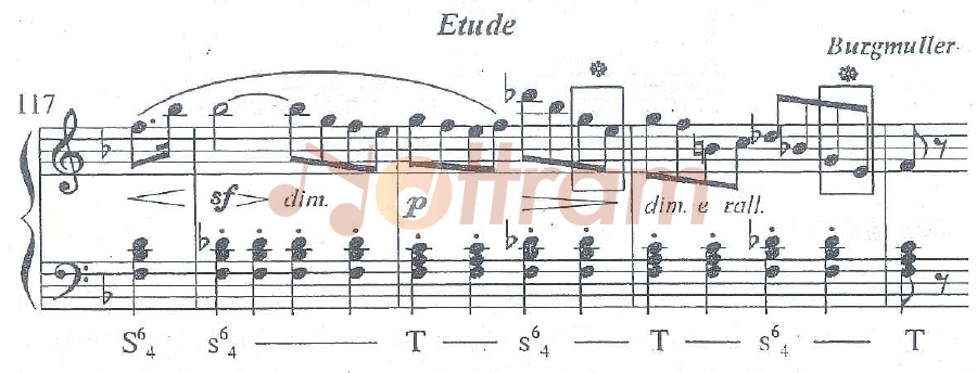 Phân tích hòa âm cho bài "Etude"
