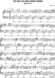 Sheet piano cỏ dại và hoa dành dành